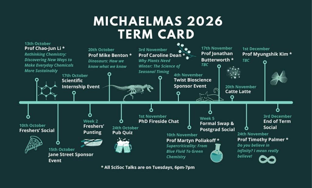 Termcard placeholder